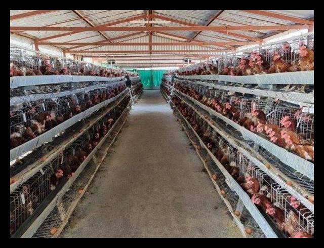 FARM FOR SALE IN MOKOPANE RURAL